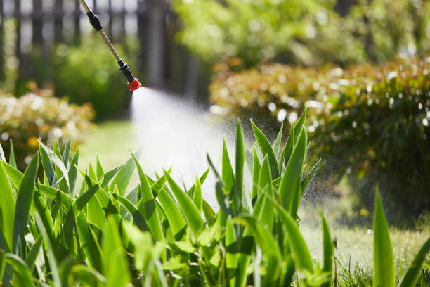 24/7 Emergency Mosquito Control experts in Galveston, IN